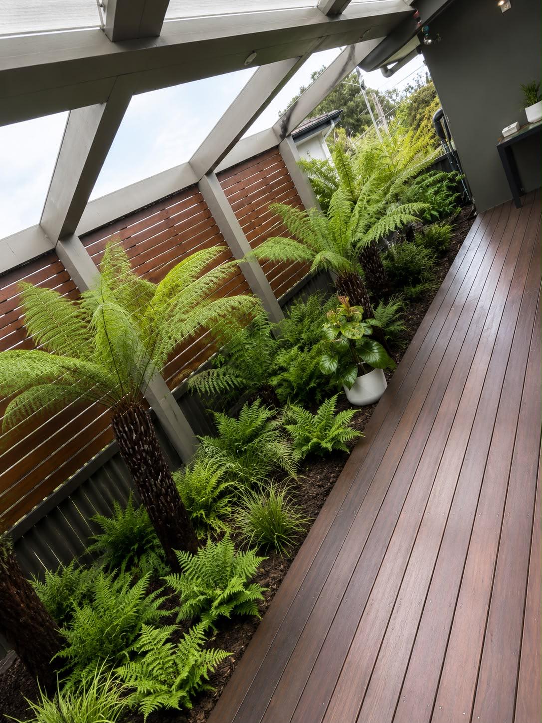 Lush fern garden running alongside a hardwood deck beneath a pergola